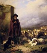 unknow artist, Sheep 176